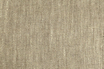 Wilde Oatmeal fabric